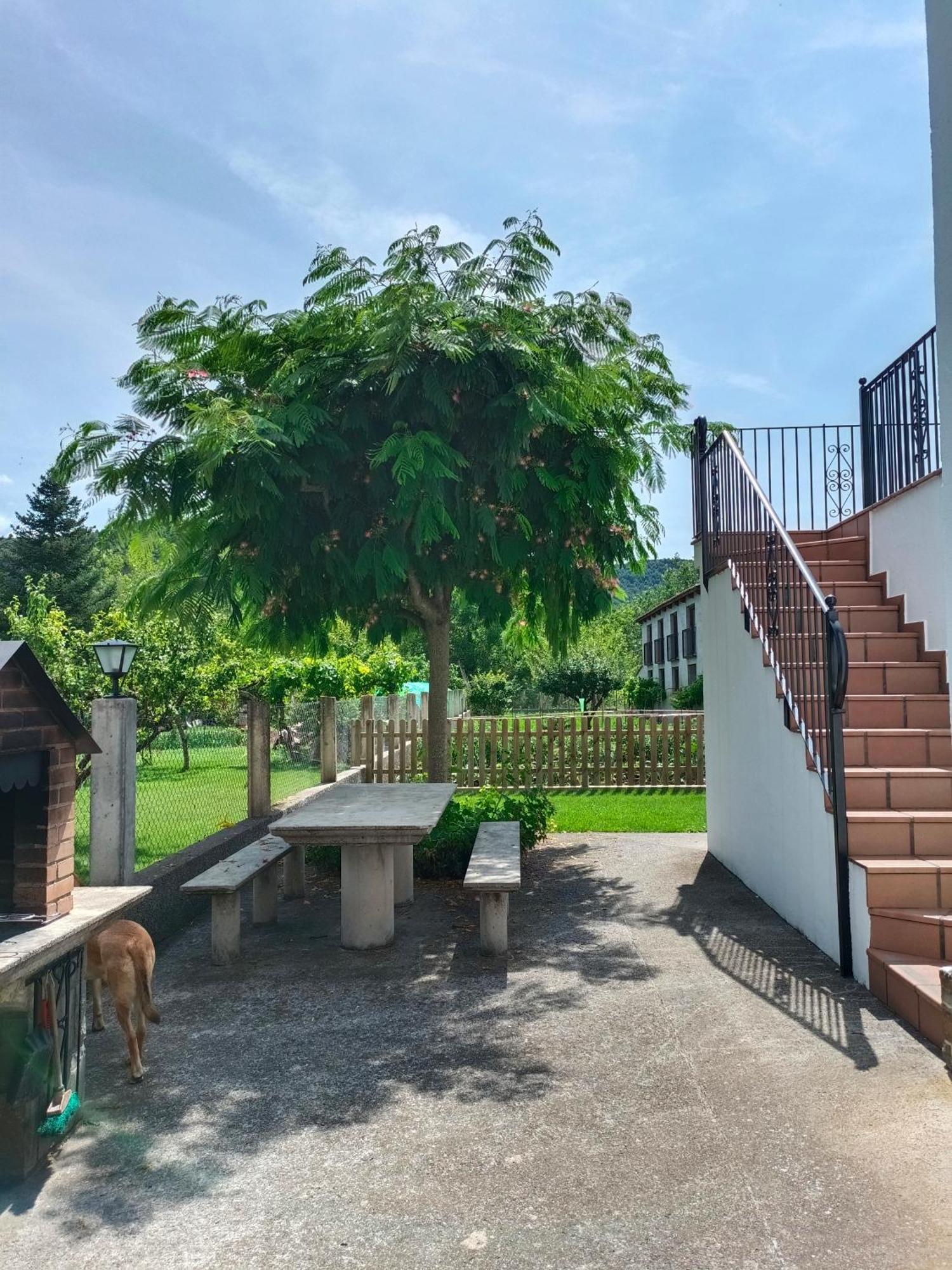 Apartamento Rural Casa Paco Con Jacuzzi Exterior Y Barbacoa Aínsa Εξωτερικό φωτογραφία